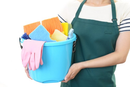 Stain removal cleaning supplies arranged for household use