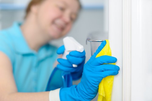 Clean carpet maintenance in an office or retail environment