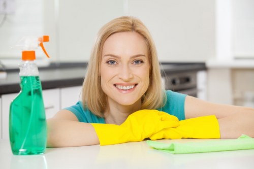 Deep cleaning stains from a fabric sofa