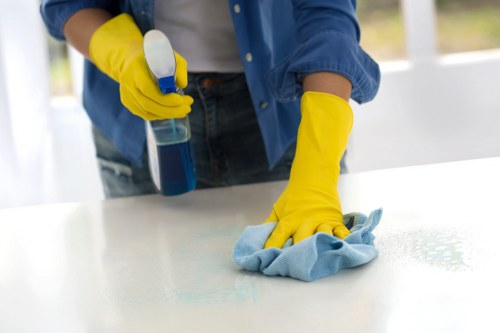 Deep carpet cleaning equipment removing dirt from fibers